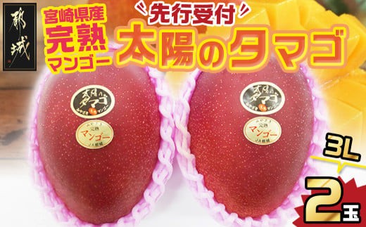 
                  【先行受付!】宮崎県産完熟マンゴー 太陽のタマゴ【3L×2玉】化粧箱入り≪2027年5月中旬以降順次お届け≫_AF-0115_(都城市) 宮崎県産 太陽のタマゴ 化粧箱入 3L 2玉 1箱 15度以上
                