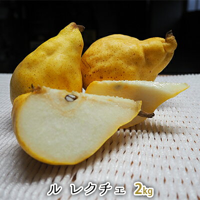 【ふるさと納税】ルレクチェ ル・レクチェ 2kg 3kg 4kg 洋梨 セット 洋ナシ 梨 なし ナシ フルーツ 果物 デザート おやつ お歳暮 ギフト 贈答 プレゼント 国産 新潟　お届け：2026年11月下旬～12月下旬