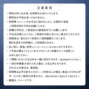 【ふるさと納税】☆沖縄芸能満喫体験☆～沖縄貸衣装体験付き～　| 沖縄 旅行 クーポン 体験 トラベル 人気 おすすめ リゾート チケット 北谷 ちゃたん おすすめ 送料無料