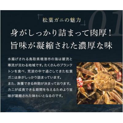 ふるさと納税 智頭町 【蟹セレブ】タグ付き活〆ボイル・松葉がに(大・800g前後) |  | 02