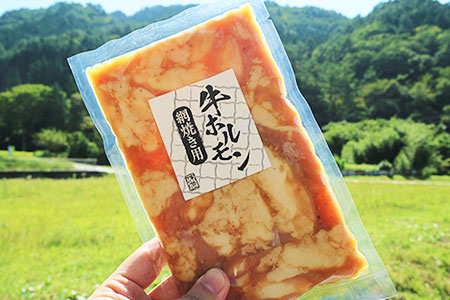 【飛騨 味職人】牛ホルモン 網焼き用（250g×10袋）飛騨 牛肉 ホルモン BBQ 味付け 贈答 ギフト もつ鍋【57-17】