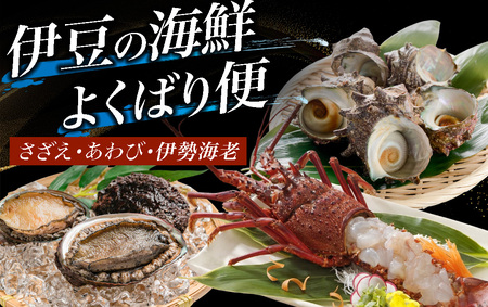 伊豆の海鮮よくばり便　~海産物詰め合わせ~　【 海鮮 海鮮  海鮮 海鮮 海鮮 】