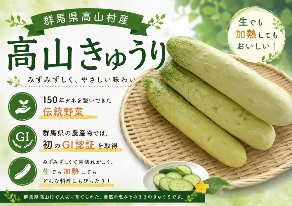 GI産品「高山きゅうり」と高山きゅうりの漬物3種セット　たからのやまたかやま