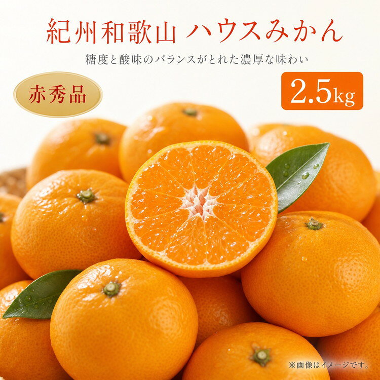 【ふるさと納税】紀州和歌山有田産ハウスみかん 2.5kg 化粧箱入 ふるさと納税 ミカン ※2026年7月上旬〜7月下旬頃に順次発送予定