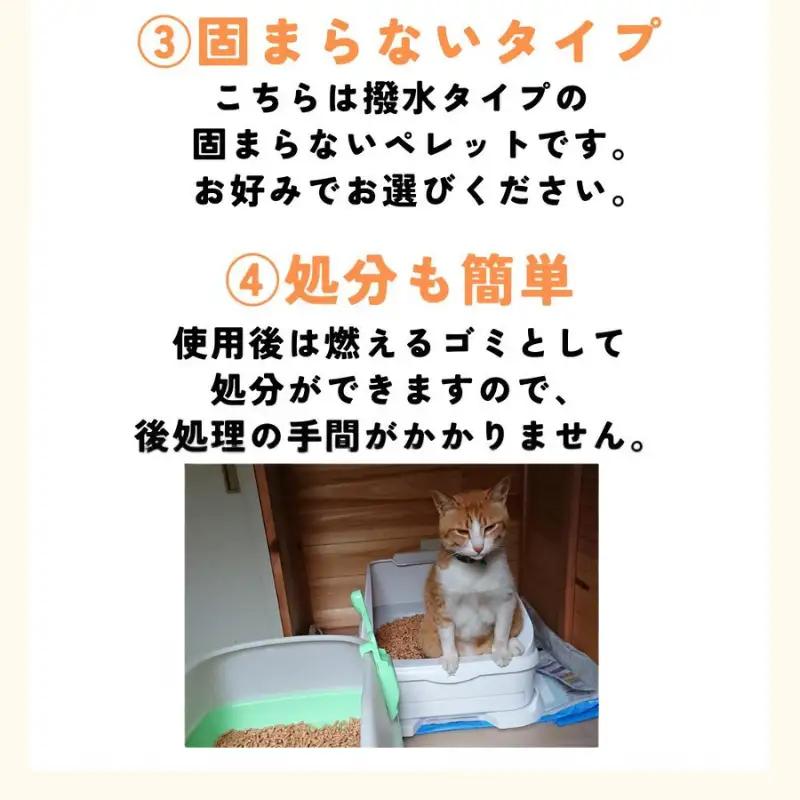 【猫砂】 ヒノキの猫砂 2.5L×3袋入り 【kgk001】