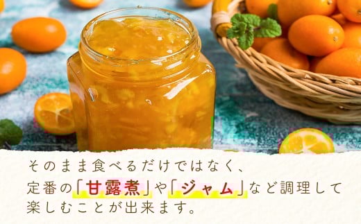 【先行予約】宮崎県西都市産 完熟きんかん 3kg(3L~L)<1.2-41>W