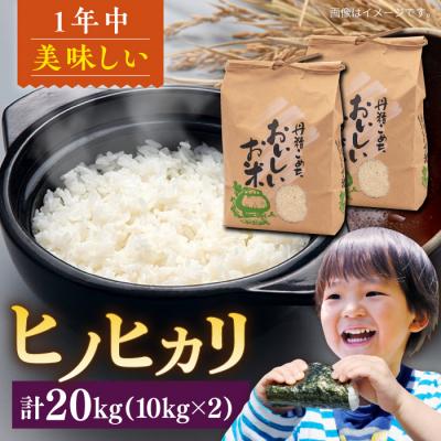 ふるさと納税 糸島市 糸島産 ヒノヒカリ 20kg 糸島市 / 平山農園 [AXN007]