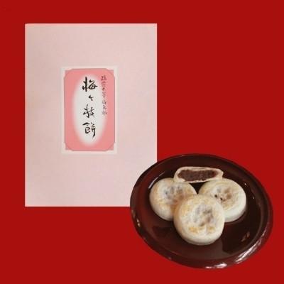 ふるさと納税 太宰府市 【照星館】【太宰府名物】梅ヶ枝餅20個入り |  | 01