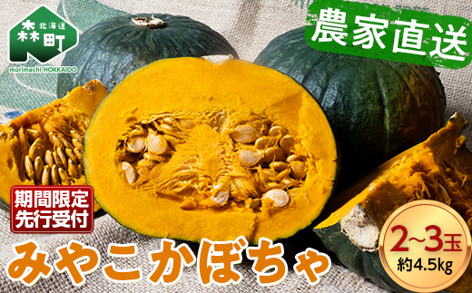【先行予約】みやこかぼちゃ 約4.5kg（2～3玉） 北海道森町産 （令和8年7月下旬～8月上旬順次配送） ＜こうのファーム＞ カボチャ 南瓜 野菜 根菜 煮物 食材 スープ mr1-1416