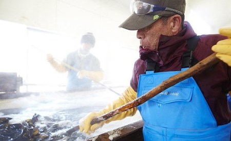 三陸産海藻食べ比べ5種セット 塩蔵わかめ こんぶ 大容量 海藻