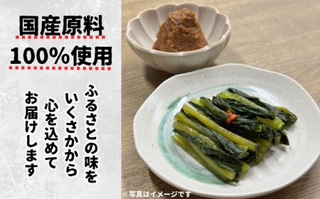 山清路 漬物セット 4種 藤澤醸造株式会社 | 漬物セット