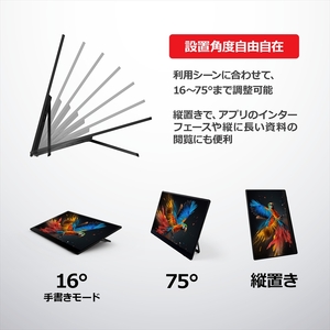 バッテリー内蔵15.6インチ有機ELポータブルタッチディスプレイモニター。ワイヤレス＆USB接続タイプ。RICOH Light Monitor 150BW【 モニター 神奈川県 海老名市 】
