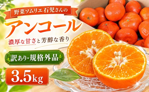 【2027年先行予約】【訳あり・規格外品】野菜ソムリエ石児さんの「アンコール 3.5kg」／ アンコール あんこーる アンコールオレンジ ミカン みかん 蜜柑 柑橘 甘い 3.5kg 柑橘類 3.5キロ 訳あり ワケアリ フルーツ 先行予約 3月 4月 3月発送 4月発送 ＜103-017＞