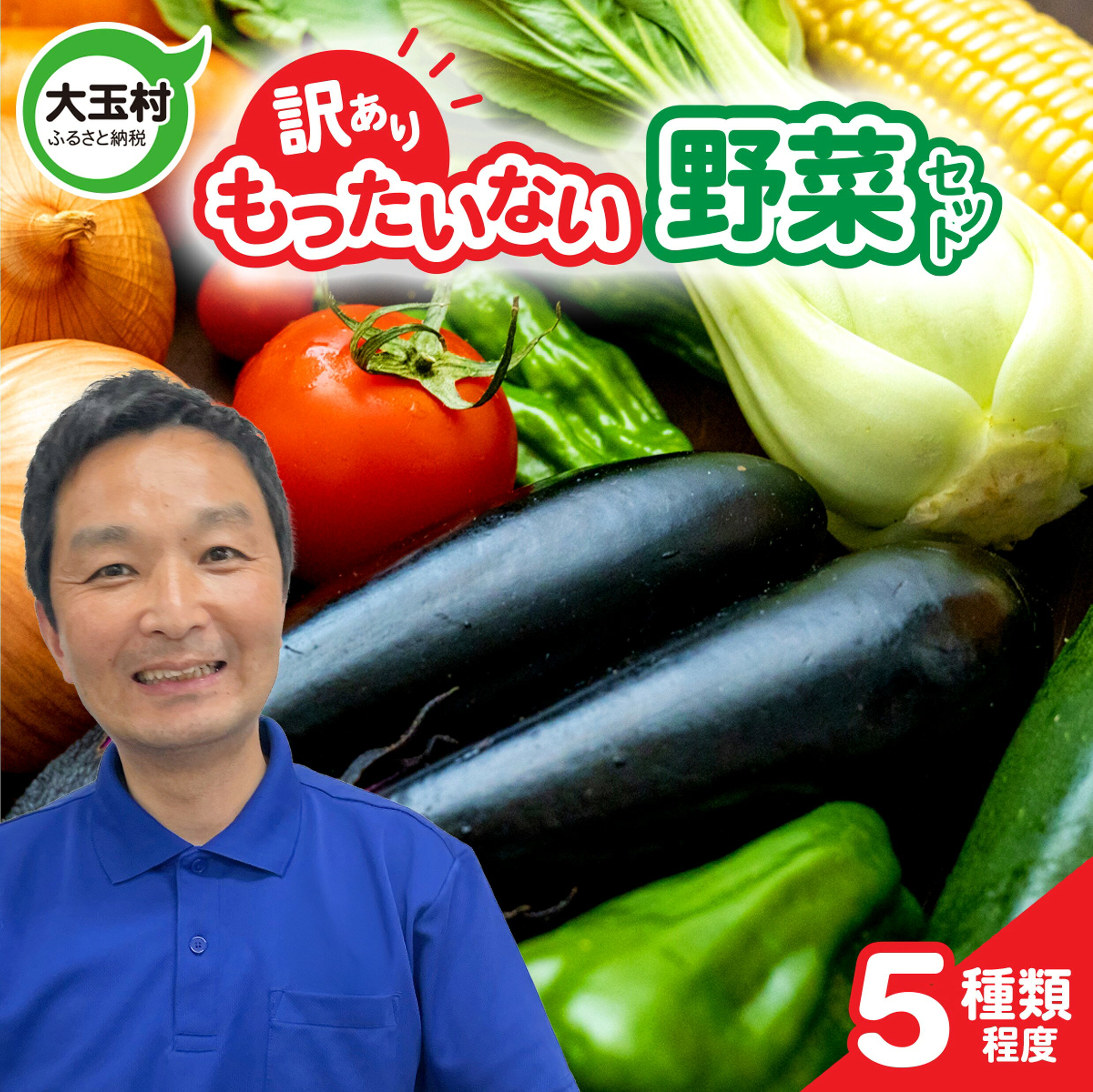 【ふるさと納税】訳あり 野菜セット 傷 4000円以内 ( 5種類程度 ) 4000円 詰め合わせ 使い切りサイズ フードロス 余剰野菜 少量セット 食べ切り 地元農家応援 不揃い 規格外 5000円 以下 SDGs 白菜 大根 ねぎ 人参 ほうれん草 かぶ 里芋 しいたけ 春菊 小松菜 om009