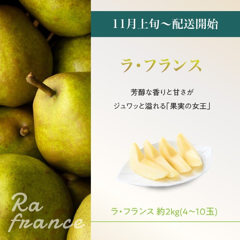 山形フルーツ人気ベスト５★【定期便全5回】 【060-T13】