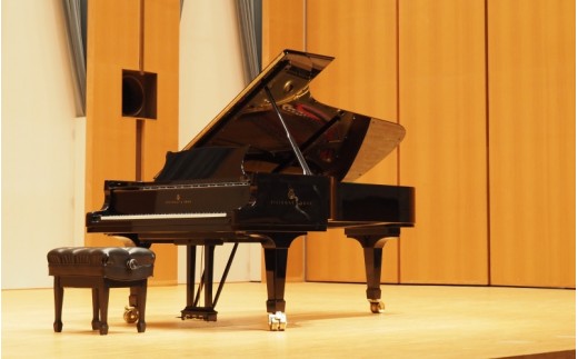 真庭市エスパスホール貸切 スタインウェイピアノ演奏 3時間 利用チケット 体験チケット 持込楽器可 / ホール貸切 ピアノ演奏 演奏 真庭市