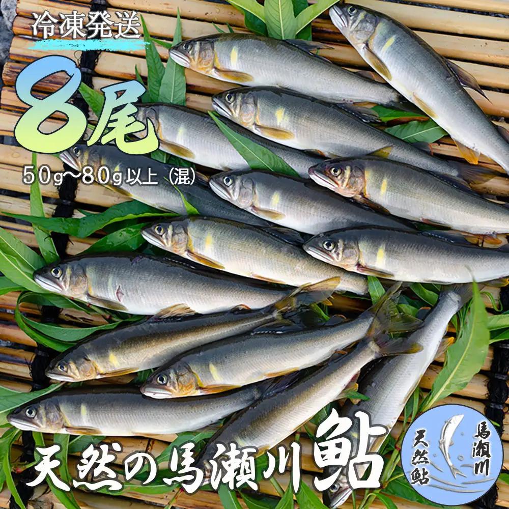 ≪発送時期：2026年7月中旬～11月頃まで≫清流が育む天然の馬瀬川鮎 ８尾（１尾あたり重さ50g～80g以上 (混)  大・中・小セット）【26-3】