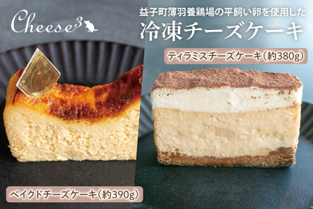 ベイクドチーズケーキ ティラミスチーズケーキ ハーフ＆ハーフ CP002