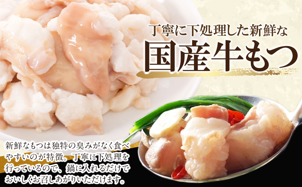 博多特選もつ鍋（2.5人前)（醤油味）