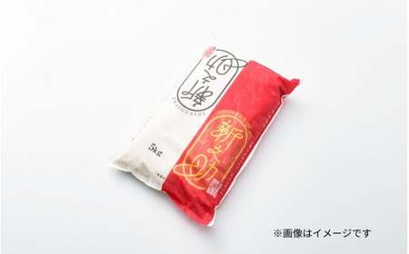 【令和7年産米】〈3回定期便〉新之助 精米 5kg（5kg×1袋） |五泉市 新之助 定期便