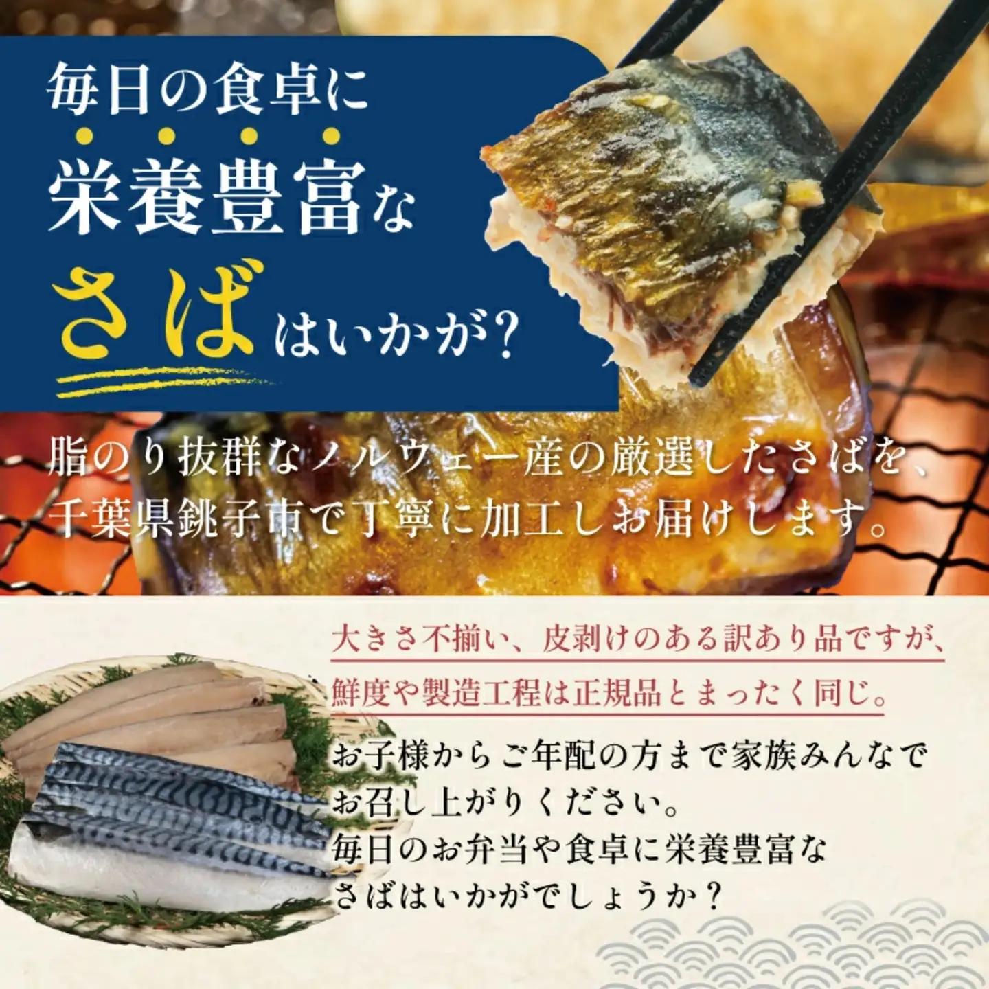 訳あり 塩鯖 1kg 鯖
