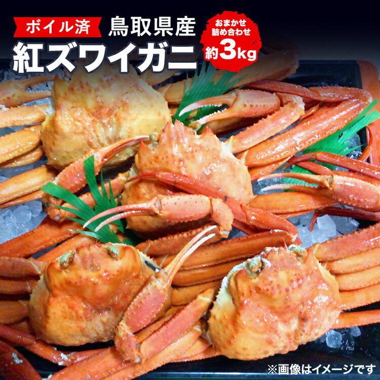【ふるさと納税】鳥取県産ボイル紅ズワイガニおまかせ詰め合わせ(約3kg)※着日指定不可※離島への配送不可※2026年2月上旬～4月下旬頃に順次発送予定 | 蟹 かに 紅ズワイガニ ボイル タグ付き 鳥取県産 北栄町 おすすめ 人気 おまかせ 詰め合わせ