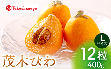びわ ビワ 【高島屋選定品】【先行予約】九州屋 茂木 びわ 400g（ Lサイズ 12粒入）  びわ ビワ びわ びわ 贈答ビワ びわ ビワ びわ ビワ  ＜高島屋＞ [CFQ060]