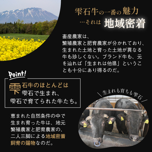 国産 最高級 黒毛和牛 雫石牛 使用 煮込み ハンバーグ 150g 5個 【九戸屋肉店】 牛 肉 和牛 いわて牛 岩手牛 高級 牛肉 Ａ4 ビーフ 煮込みハンバーグ デミグラスソース 惣菜 総菜 洋風