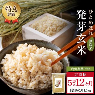 ふるさと納税 玖珠町 特A ひとめぼれ 米 残留農薬ゼロ 発芽玄米 1.5kg × 5袋 12ヶ月 毎月定期便 無洗米