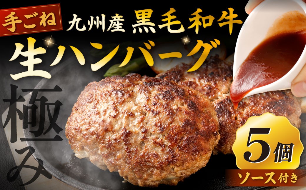 
            【極み】 九州産 黒毛和牛 手ごね 生ハンバーグ （ソース付き） 約150g×5個 計約750g ハンバーグ 生ハンバーグ 和牛ハンバーグ 和牛 冷凍
          