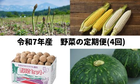 ≪令和７年産予約受付！≫おおとり　野菜の定期便（４回）アスパラ あすぱら とうもろこし とうきび じゃがいも 芋 イモ いも カボチャ 南瓜 旬 旬の野菜 定期配送[053-06]