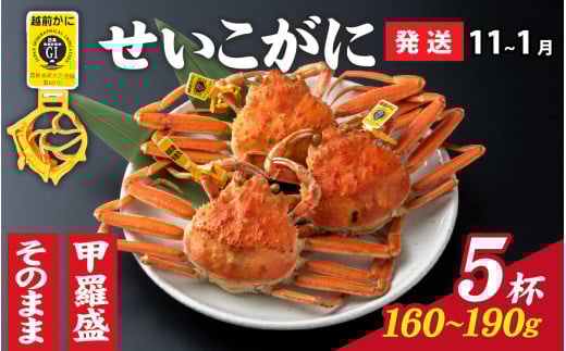 【先行予約】選べる！美味しさ直送【成前特選】せいこがに（160g～190g）×5杯【11月～1月発送】 甲羅盛 [G-028043_07] / ズワイガニ 甲羅盛り 越前がに かに 蟹 楚蟹 セイコ蟹 越前かに 香箱がに こうばこがに 親ガニ こっぺがに せこがに 甲羅蟹 甲羅がに 香箱蟹 メス ずわいがに カニ セイコガニ