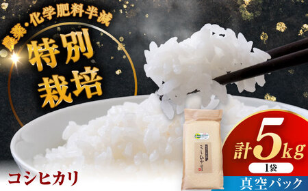 令和7年産 ななしま家 コシヒカリ 5kg / 白米 特別栽培 白米 / 佐賀県 / 有限会社七島農産 [41AHAC001]