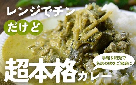 カレー タイグリーンカレー 10袋 | 所沢 スパイス パクチー 常備食