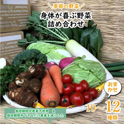 ふるさと納税 潮来市 【発送月固定定期便】『身体が喜ぶ野菜』季節の詰め合わせ(おまかせ10〜12品)全10回