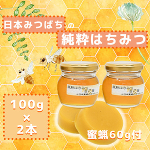 GD010_日本蜜蜂の純粋はちみつ　100ｇ瓶×2　日本蜜蜂の蜜蝋60ｇ