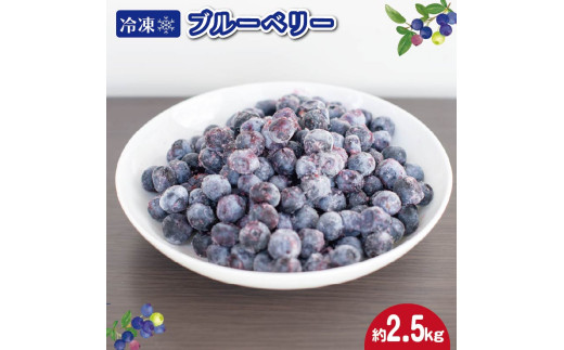冷凍 ブルーベリー 約2.5kg フルーツ 国産 果物 大粒 甘い 糖度 ジャム ジュース ケーキ ゼリー スムージー ヨーグルト 洋菓子 お菓子 焼菓子 おやつ デザート スイーツ ポリフェノール アントシアニン 美容 健康 ギフト 贈答 プレゼント お取り寄せ グルメ 送料無料 徳島県 阿波市 AWABlueberryファーム