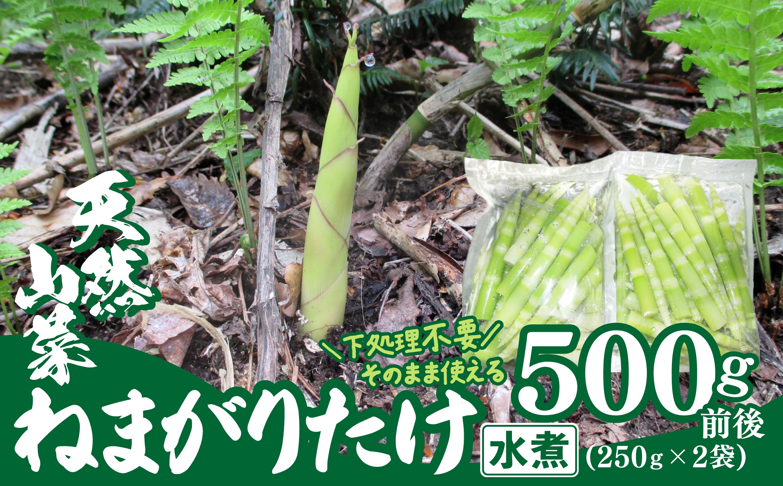 
                  予約受付【天然山菜】ねまがりたけ水煮 60P3223 /  山菜 天然 山 自然 たけのこ タケノコ ねまがりたけ ねまがりだけ ネマガリタケ ネマガリダケ 根曲がりたけ 根曲がりだけ 東北 秋田 大館 天然山菜 天然もの 春の山菜 水煮 下処理不要 手間なし 手間いらず 山菜水煮 手軽 処理 不要
                