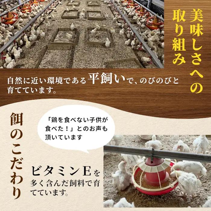 愛知県産 銘柄鶏 奥三河どり 丸鶏 １羽 2ｋｇ 中抜き 国産 丸ごと一羽 冷凍 生 生鶏 チキン クリスマス パーティー バーベキュー BBQ アウトドア キャンプ ダッチオーブン チキン 鶏肉 鶏