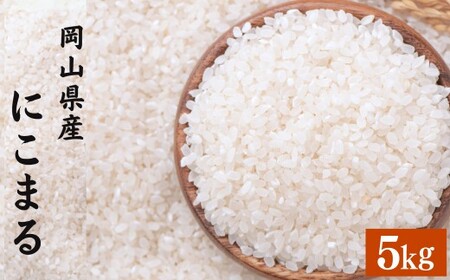 【令和7年産】 にこまる 5kg 精米 【2026年8月下旬まで発送予定】5kg×1袋 お米 米 コメ ご飯 ごはん ゴハン 白ご飯 白米 1袋 モチモチ ツヤツヤ