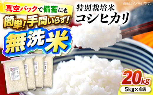【先行予約】【9月中旬から順次発送】特別栽培米 コシヒカリ 真空パック 白米 （ 無洗米 ） 20kg （ 5kg × 4袋 ） お米 こしひかり ご飯 コシヒカリ おこめ 三次市/小川モータース [APCH007]