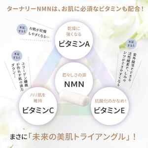 ターナリ―NMN（60粒入パウチ）×４袋【エイジングケア 高純度 健康維持 毎日習慣 国内工場 緑黄色野菜 ビタミンA ビタミンC ビタミンE NAD 美容 健康 カプセル 静岡 伊豆　RNA NMN