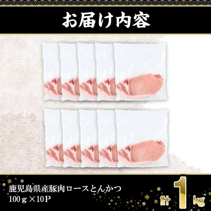 鹿児島県産 豚肉 ロース とんかつ (計1kg・100g×10P) 【株式会社羽根】A1081