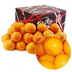 愛媛県産みやうちいよかん【訳あり】10kg【E35-31】【1609732】