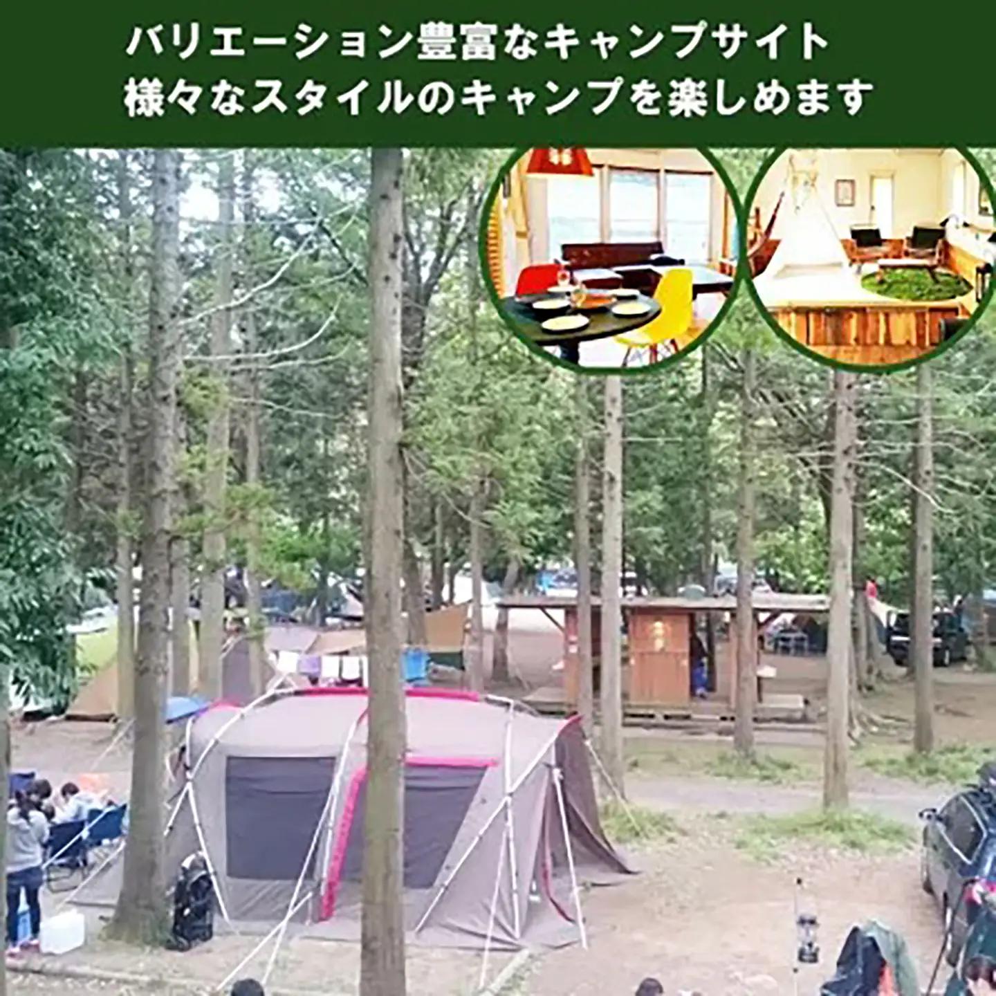 キャンプ&バーベキュー フォンテーヌの森 利用券 9,000円分 キャンプ