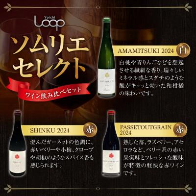ふるさと納税 余市町 Yoichi LOOP ソムリエセレクト 余市町産ワイン【3種】3本セット_Y055-0076 |  | 01