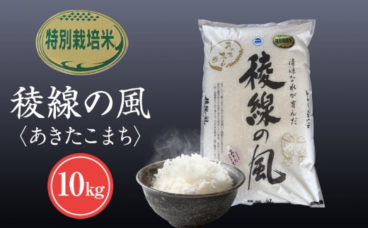 【信濃大町産】特別栽培米　稜線の風（あきたこまち） 10kg｜米  国産米 長野県産 人気 おすすめ お米 減農薬 ごはん 和食 健康 送料無料 長野県 大町市 ふるさと納税