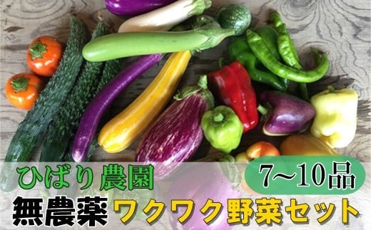 ひばり農園の無農薬ワクワク野菜セット 《6月より発送開始》 【289】