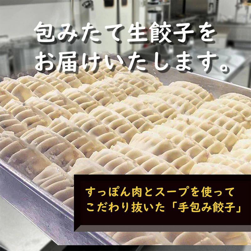 4個セットすっぽん餃子 餃子 スープ すっぽんスープ スッポンスープ 料理 肉 エキス 国産 グルメ 老舗 全国 取り寄せ 取り寄せグルメ コラーゲン 液体 美容 精力 効果 ギフト プレゼント おす