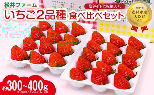【2026年 先行予約】いちご 贈答用 2品種 食べ比べ 約400g入りトレー×２ 計800g 農林水産大臣賞受賞農園｜やよいひめ あまおとめ さちのか 紅ほっぺ おいCベリー 甘雫姫 スターナイト 星うらら コク 甘み 朝採れ 産地直送 贈り物 新鮮 完熟 旬 人気 高評価 群馬県 前橋市